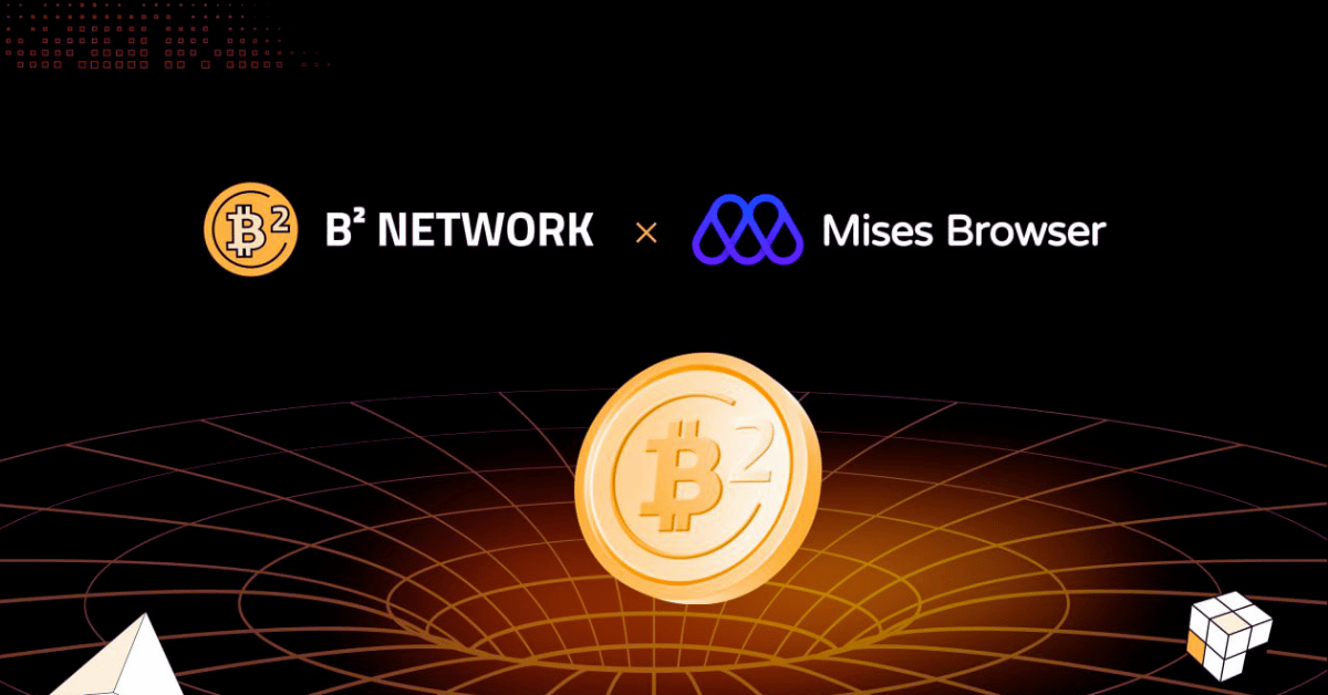 B2 network